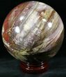 Colorful Petrified Wood Sphere #26619-1
